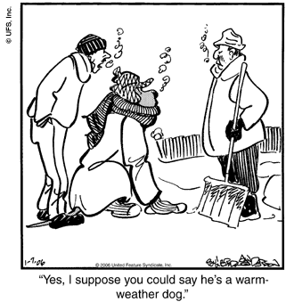 marmaduke